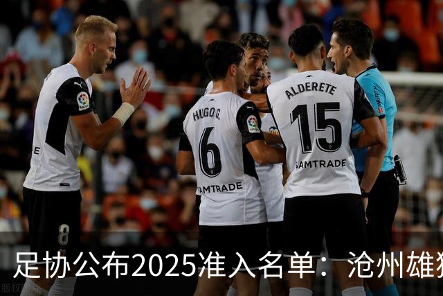 足协公布2025准入名单：沧州雄狮、广州队无缘
